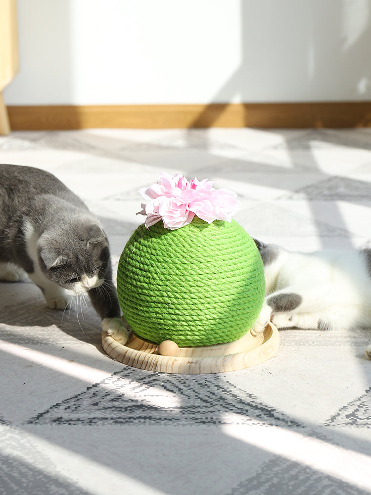 Kaktus Katzen-Spielzeug mit Krallenpflege – Bild 7 | LuxeStyle