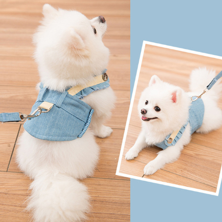 Hundegeschirr-Set für kleine bis mittelgrosse Hunde | LuxeStyle