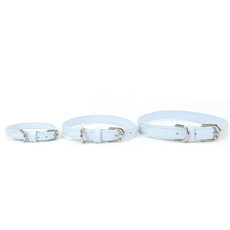 Halsband mit Zugseil für kleine bis mittelgrosse Hunde