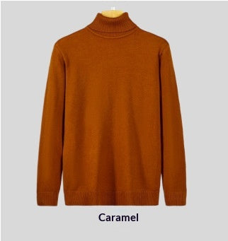 Herren Rollkragenpullover