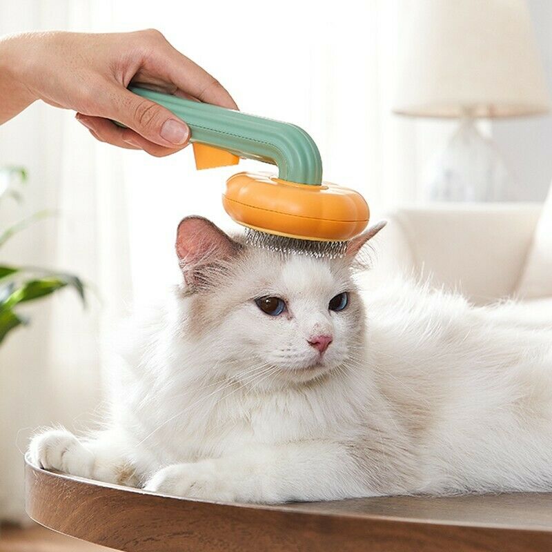 Kürbis-Strichbürste für Hunde & Katzen – Selbstreinigend