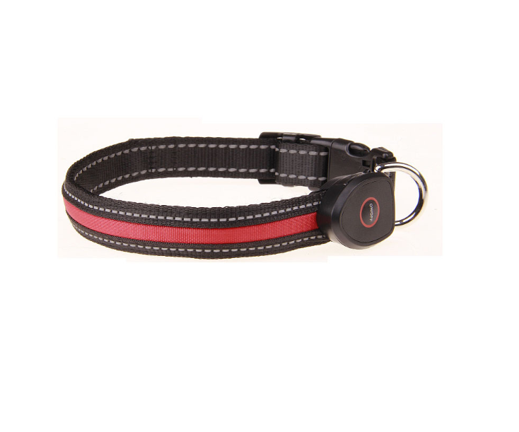 Hundeleuchthalsband