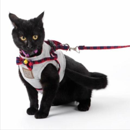 Katzenhalsband aus Strick- und Baumwollstoff | LuxeStyle