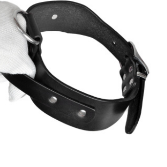 Verstellbares Hundehalsband für mittlere bis grosse Hunde – Bild 2 | LuxeStyle