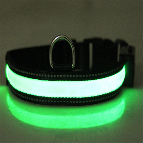 Leuchtendes Hundehalsband mit Solar- und USB-Ladefunktion – Bild 16 | LuxeStyle
