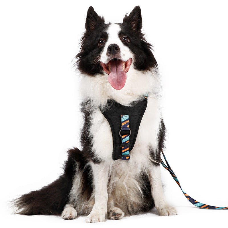 Pet Brustschutz DODOPET – Bild 3 | LuxeStyle
