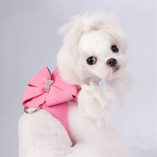 Hundegeschirr mit Strass – Bild 2 | LuxeStyle