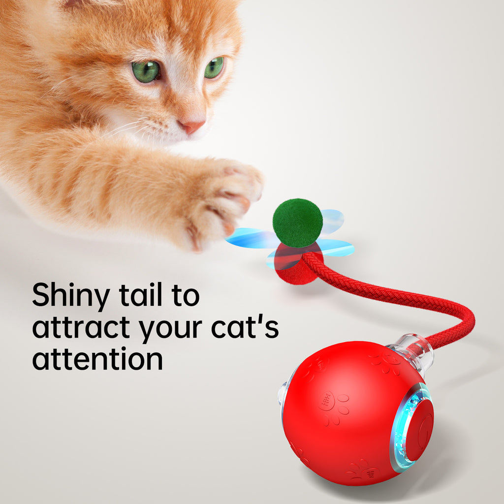 Interaktiver Spielball für Katzen