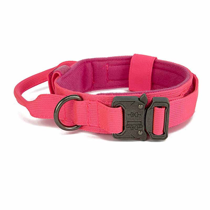 Hundekragen mit Stahlbügel – Bild 5 | LuxeStyle