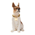Hundehalsband aus Edelstahl – Geometrisches Muster | LuxeStyle