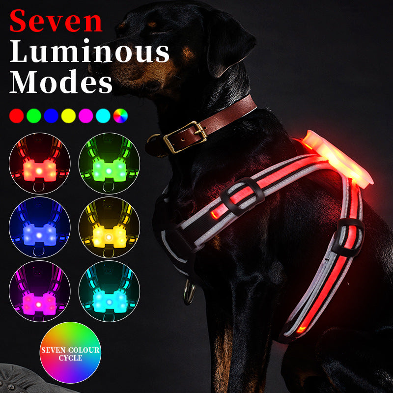 LED-Weste für Hunde