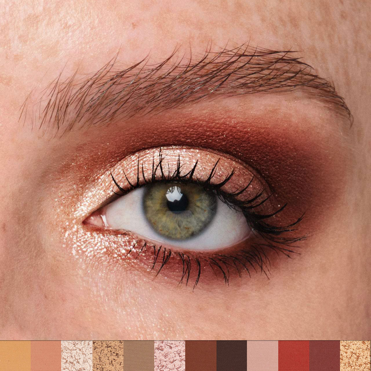 12-farbige Augen-Schatten-Palette