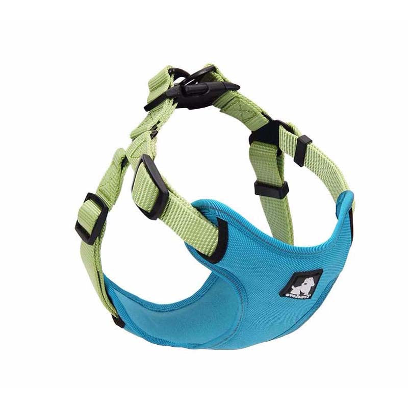 Hundeleine mit Halsband – Oxford-Stoff, atmungsaktiv – Bild 5 | LuxeStyle
