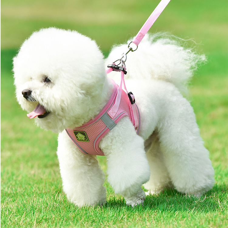 Hunde- und Katzen-Geschirr mit Leine – Bild 2 | LuxeStyle