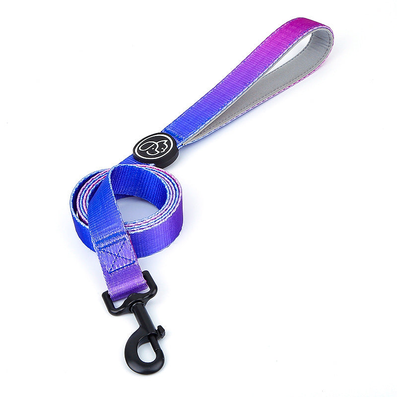 Hundehalsband und Leine für Samojeden – Bild 9 | LuxeStyle