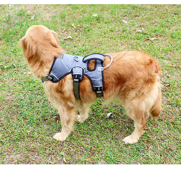 Brustschiene für Hunde – Grau, Rot, Blau – Bild 2 | LuxeStyle
