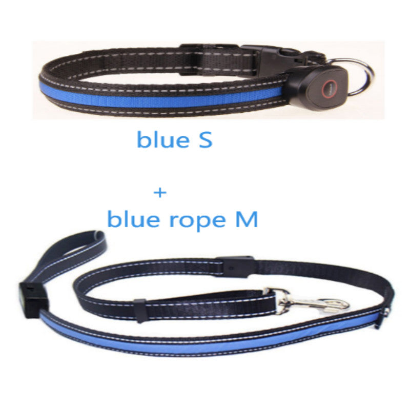 Hundehalsband leuchtend – Bild 5 | LuxeStyle