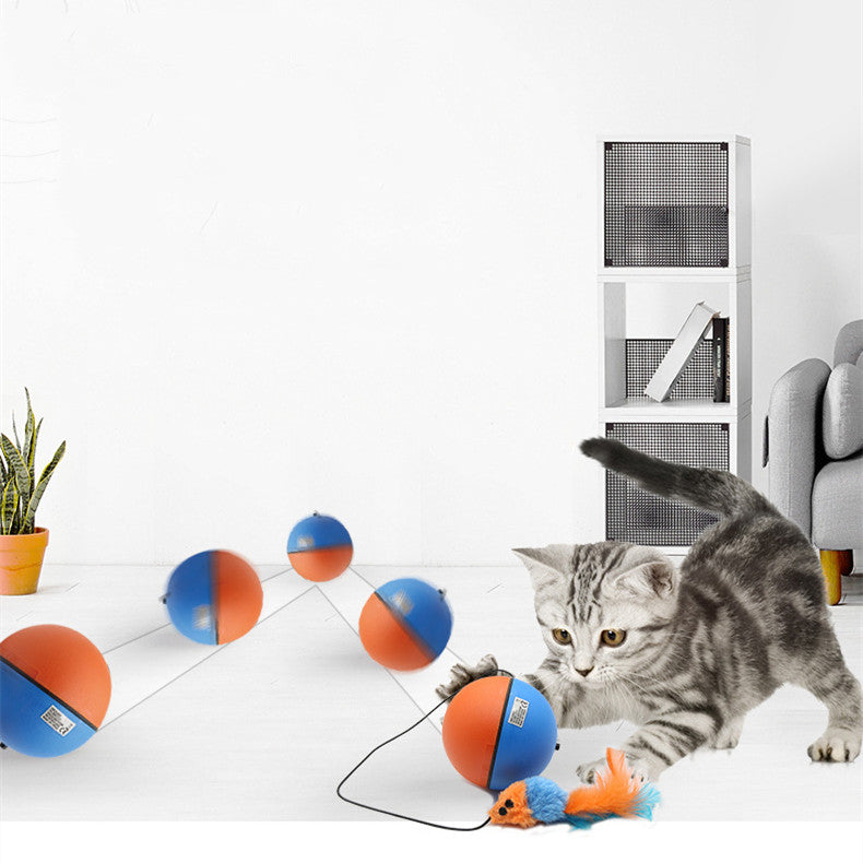 Automatischer Tease Katzen-Spielball