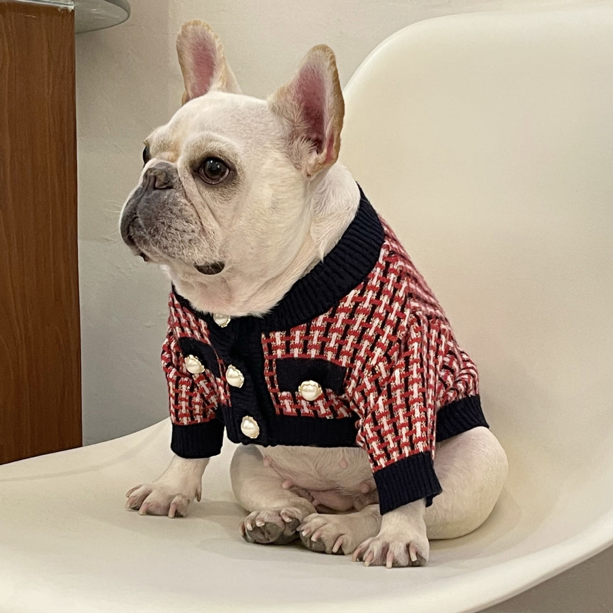 Wollpullover für Hunde – rote Freizeitmode – Bild 5 | LuxeStyle