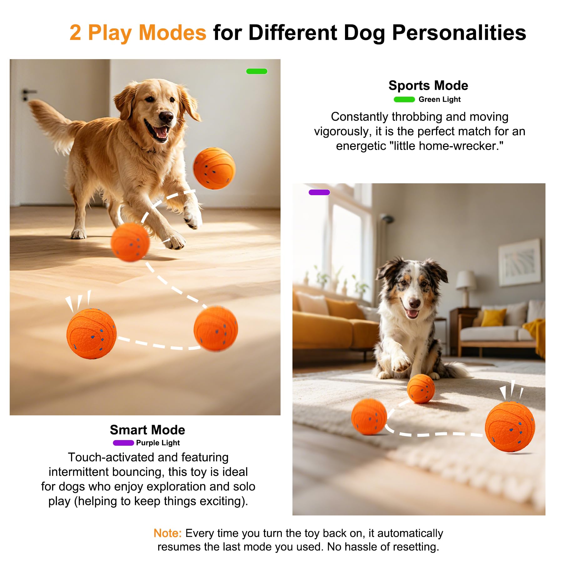 Interaktiver Hüpfball für Hunde