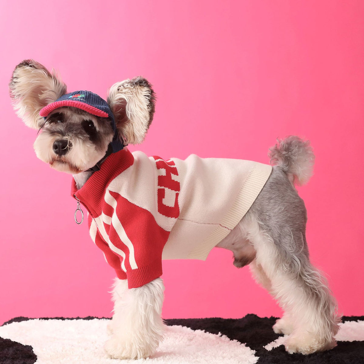 Hundepullover für Sport und Freizeit – Bild 2 | LuxeStyle