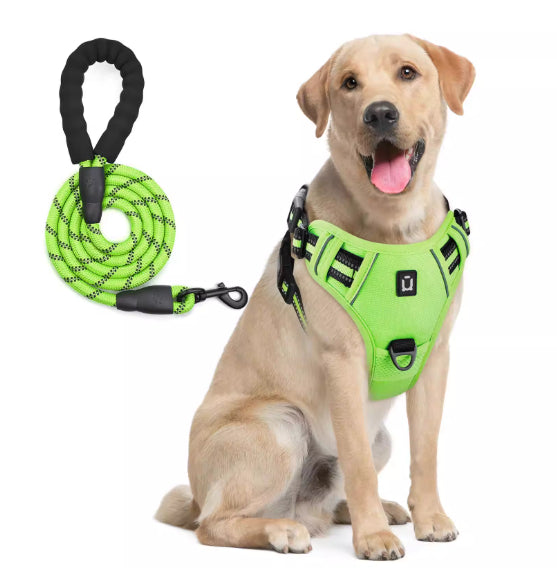 Hundegeschirr & Leine mit Ausbruchschutz – Bild 5 | LuxeStyle