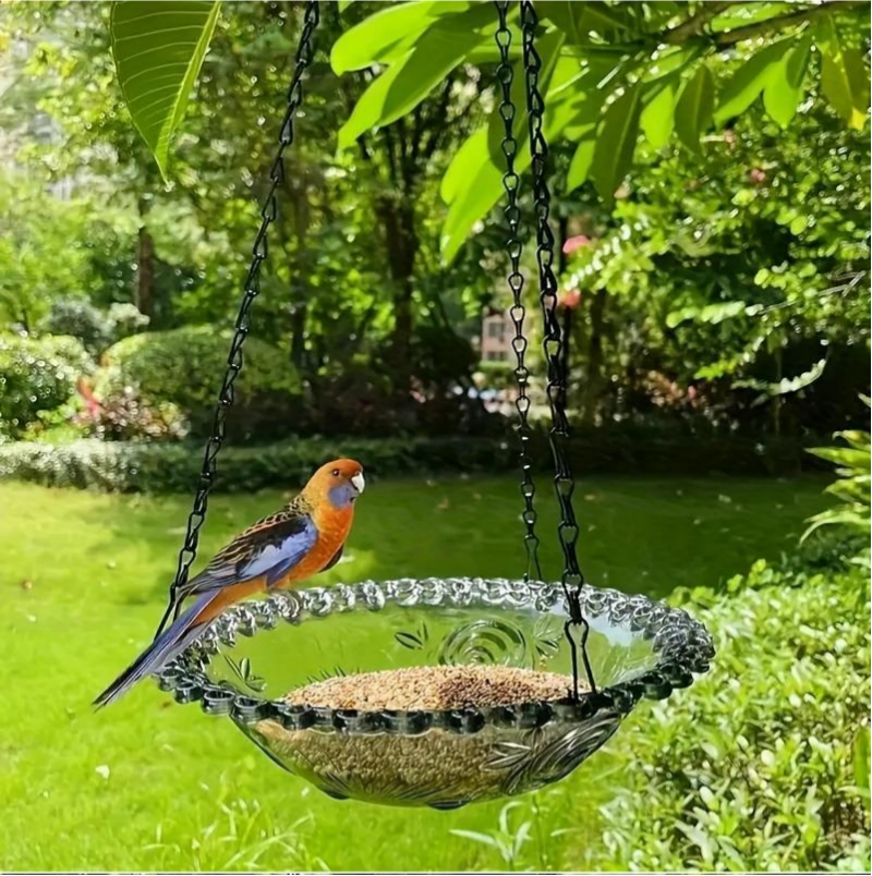 Vogeltränke und Futterstation