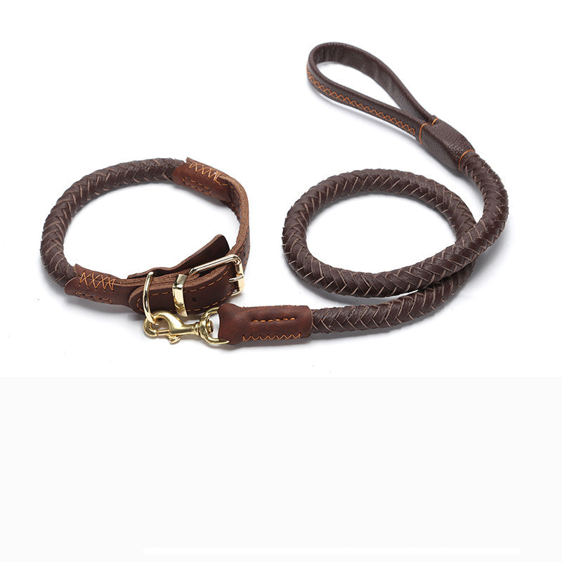 Leder Hundeleine mit Kette – Bild 7 | LuxeStyle