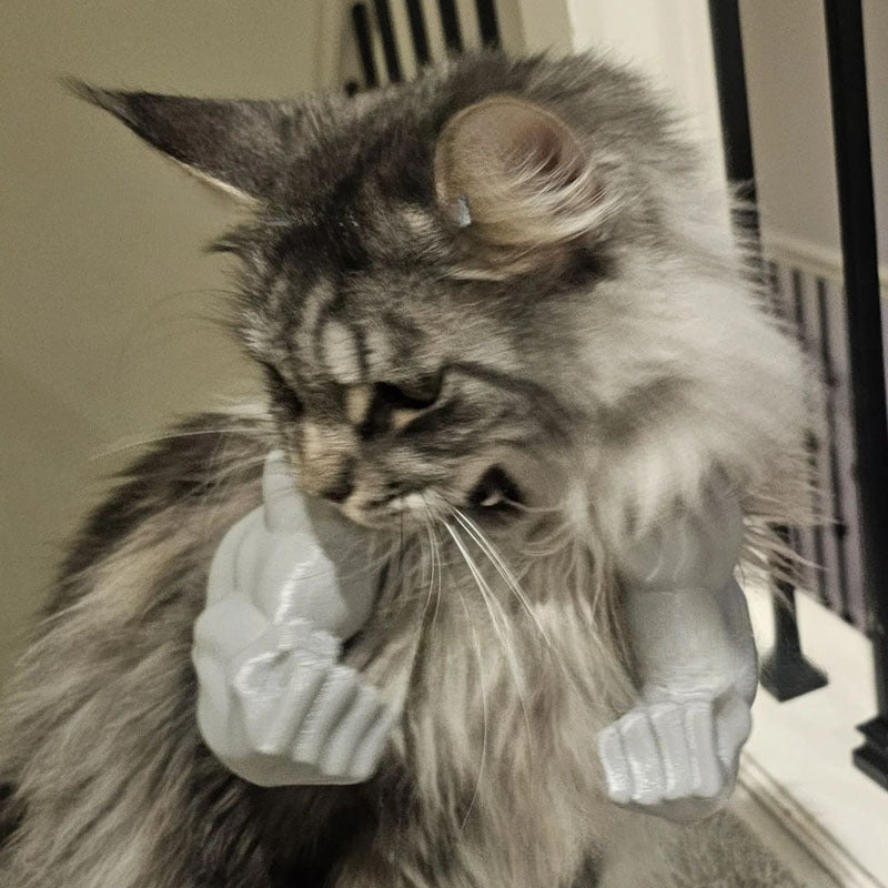 Lustige Katzen-Muskelhand zum Aufhängen – Bild 5 | LuxeStyle