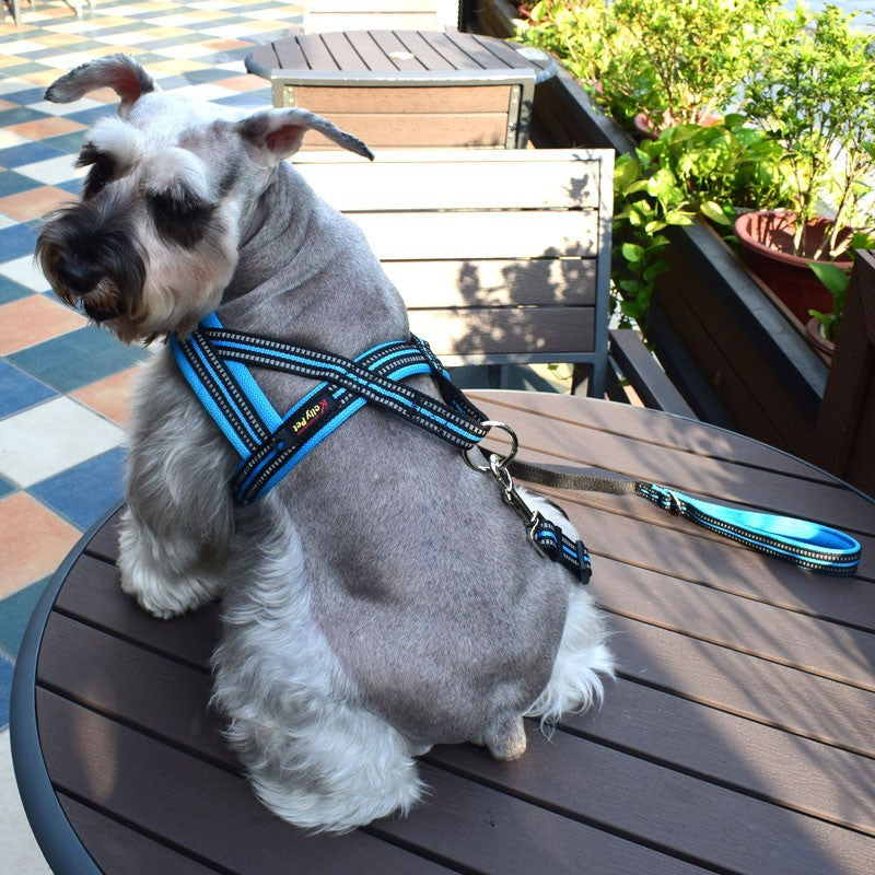 Hunde-Geschirr