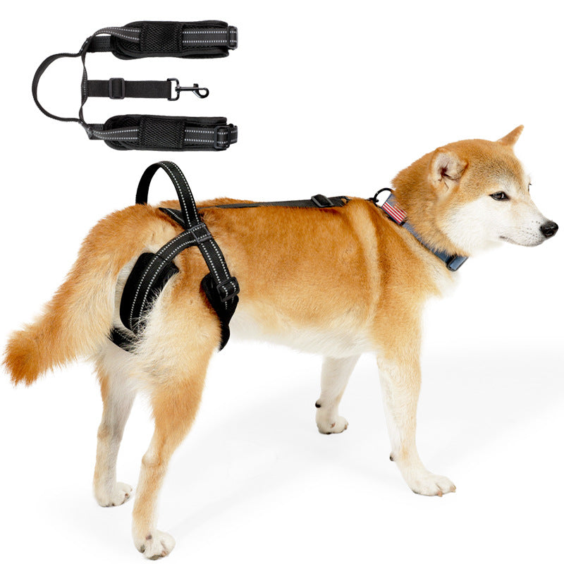 Reha-Gurt für Hinterbeine (Hund) – Bild 5 | LuxeStyle