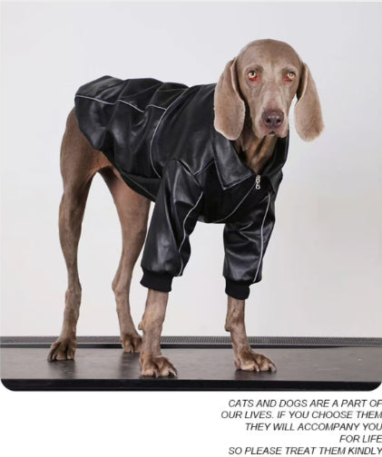 Lederjacke für mittelgrosse bis grosse Hunde