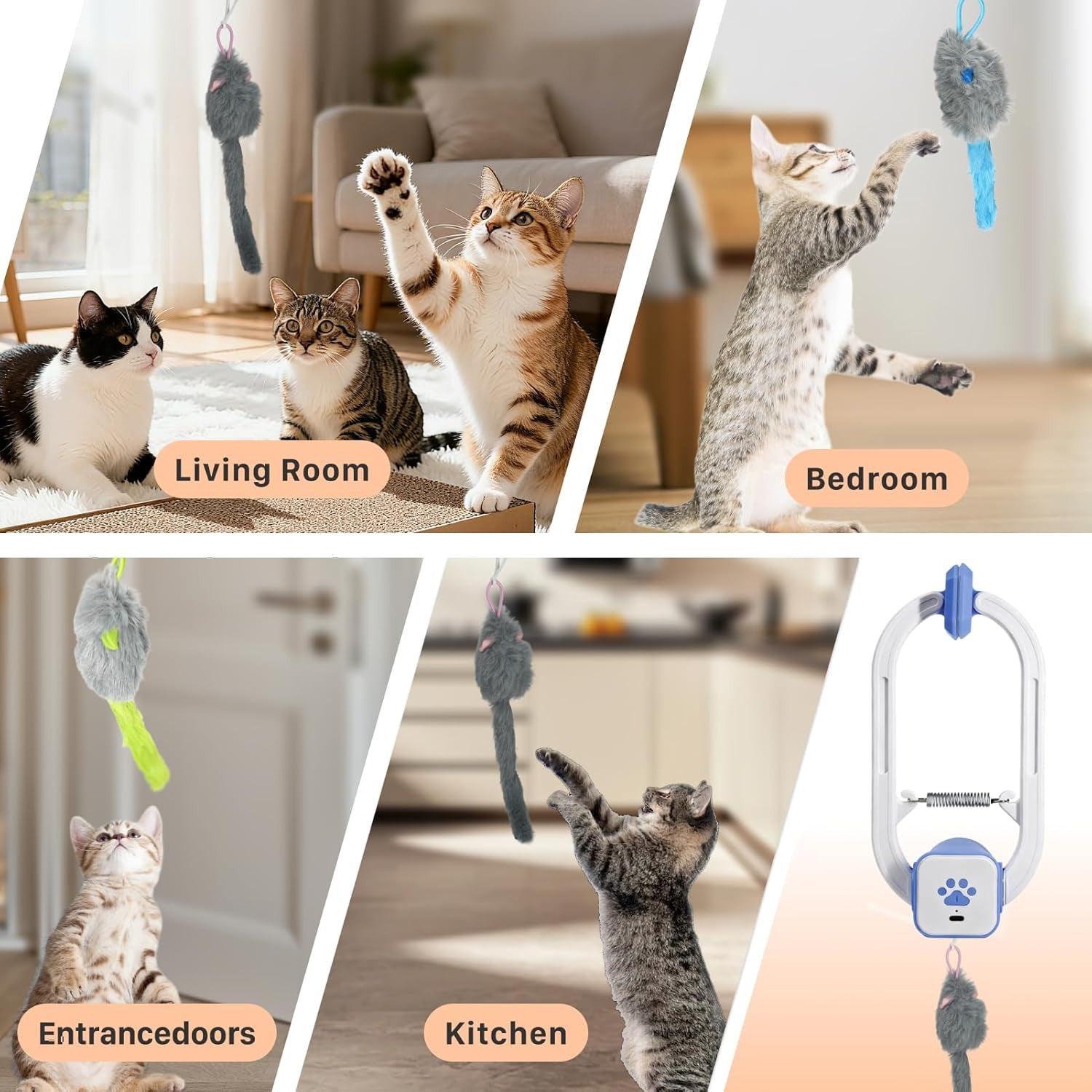 Interaktives Katzen-Teaser-Spielzeug mit Fernbedienung