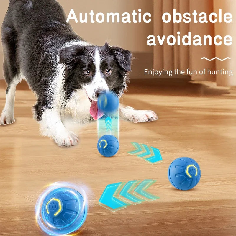 Intelligente Hundeball – Bild 2 | LuxeStyle