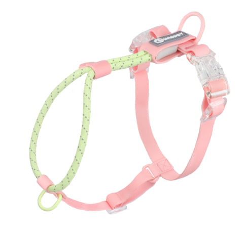 Hundeleine aus PVC – Bild 5 | LuxeStyle