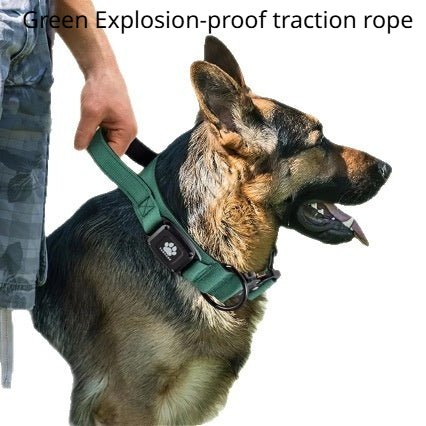 Verstellbarer Hundehalsband
