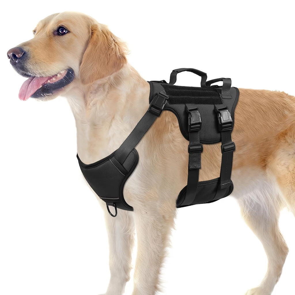 Hundegeschirr und Leine – Bild 6 | LuxeStyle