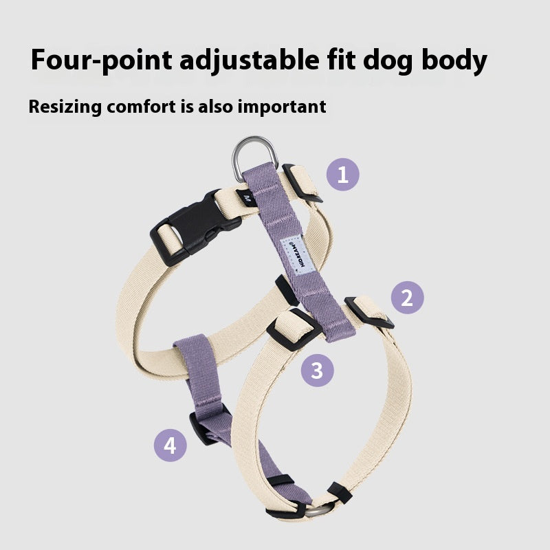 Hunde-Halsband, I-förmig, bruchsicher
