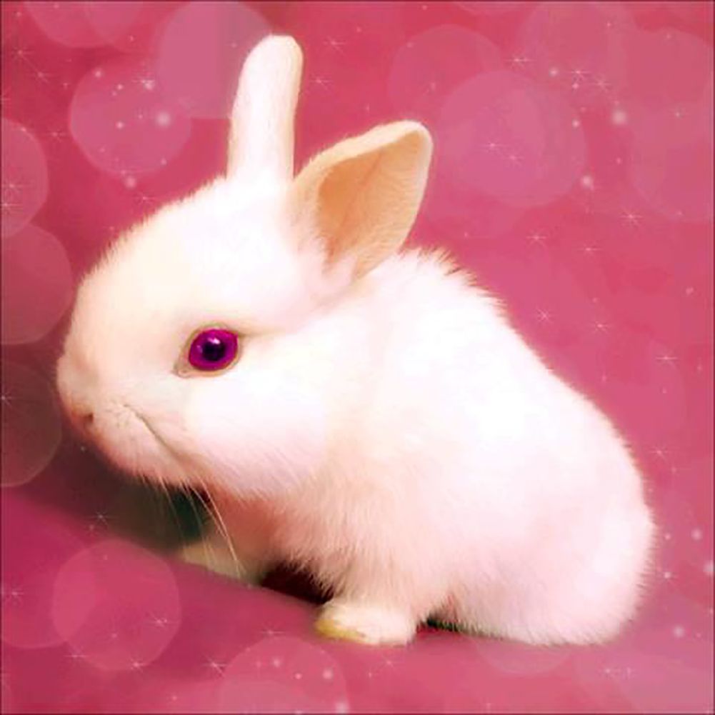5D Diamond Painting Set «Hase»