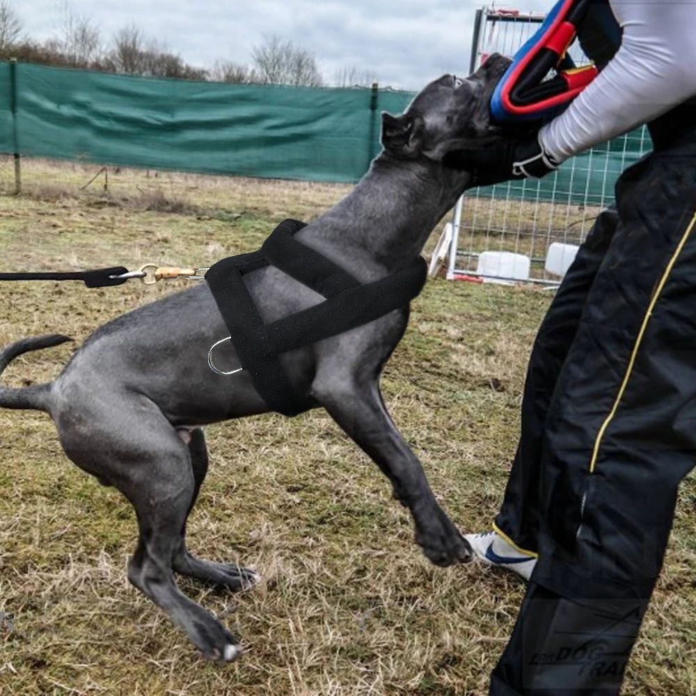 Hundegeschirr mit Polsterung – Bild 5 | LuxeStyle