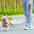 Hundeleine mit Karabinerverschluss | LuxeStyle