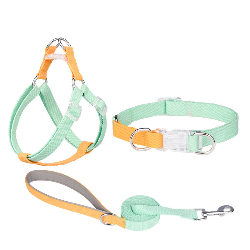 Polyester-Halsband mit Leine und Geschirr – Bild 2 | LuxeStyle