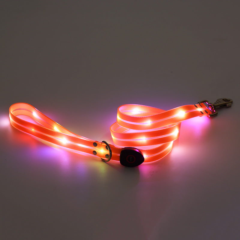 LED Leuchtcollar mit Zugleine, wiederaufladbar – Bild 11 | LuxeStyle