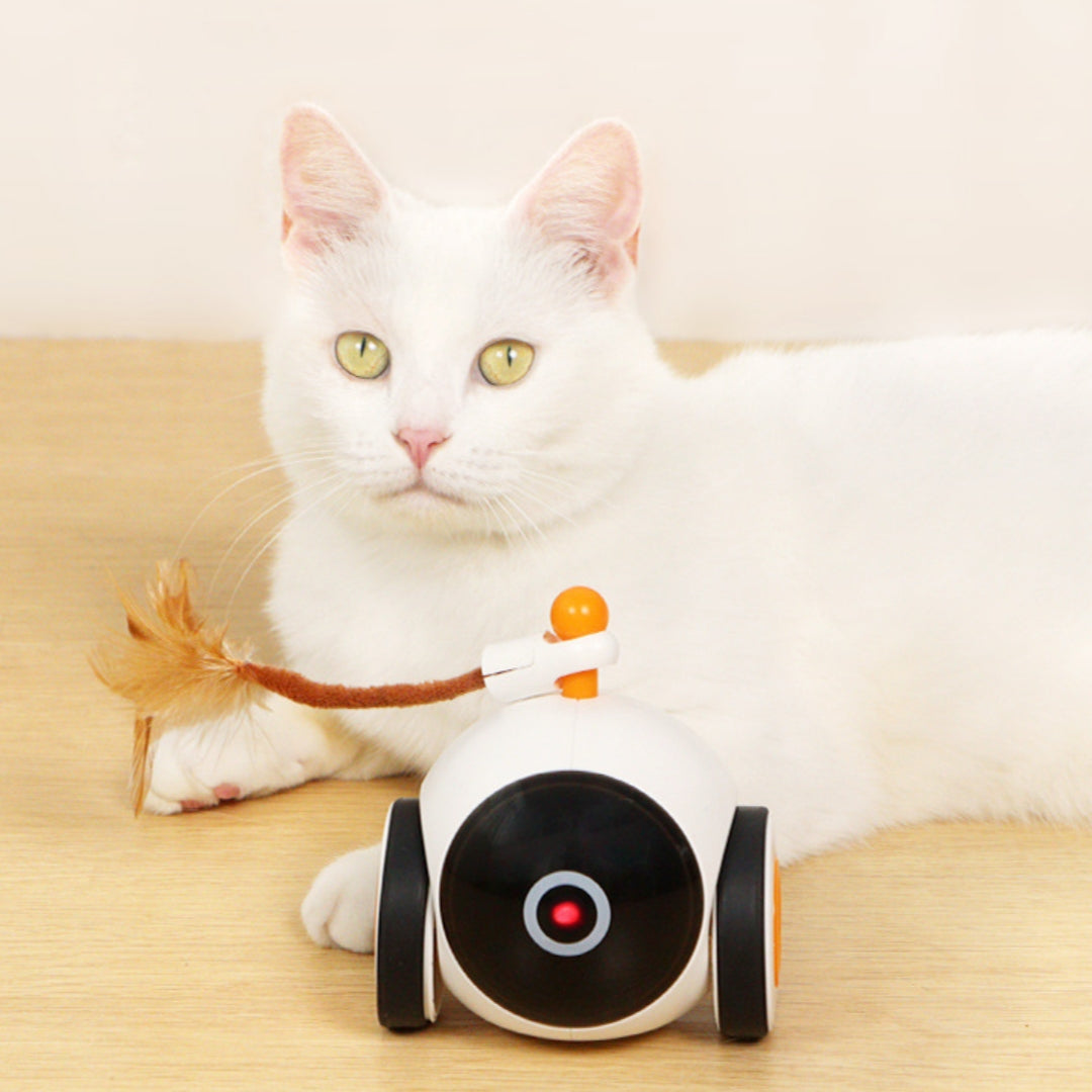 Smart Cat Toy Space Magic Wheel