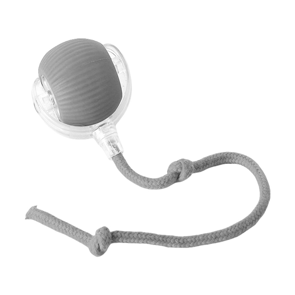 Interaktiver Rollball für Haustiere