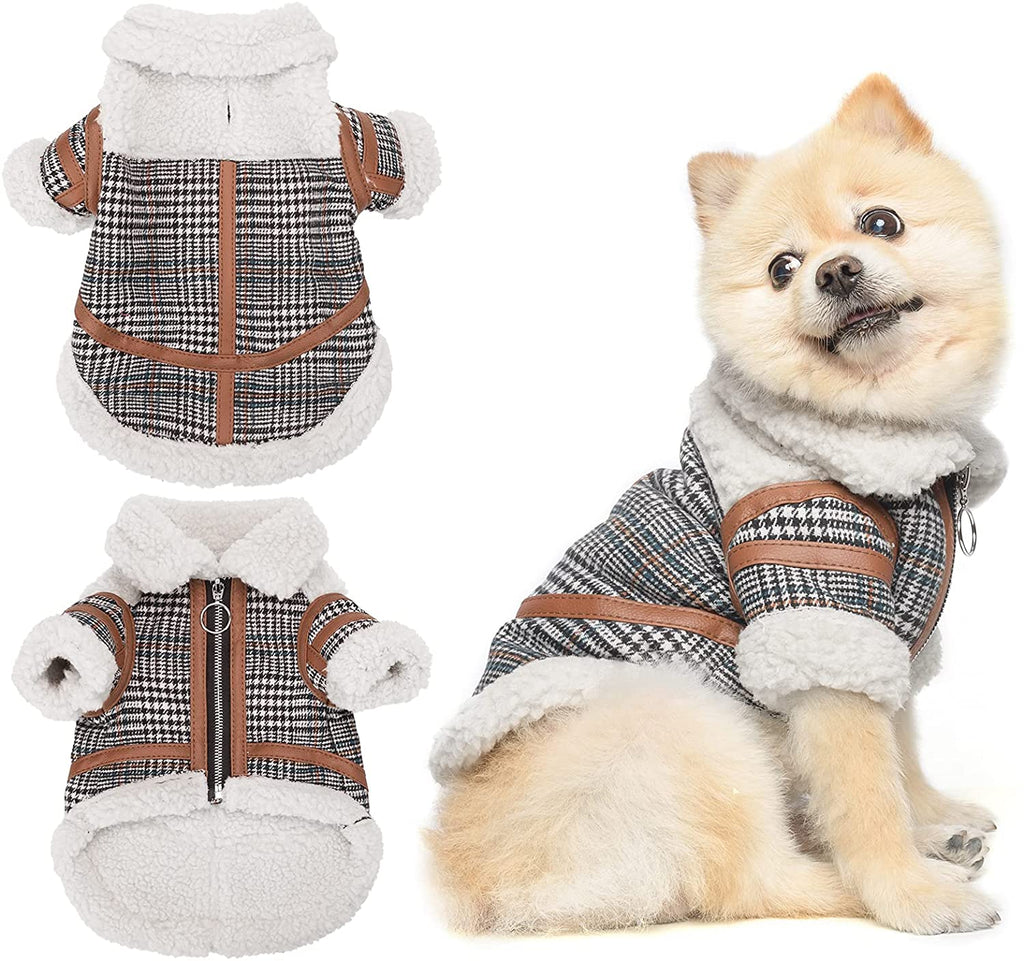 Karierte Hundekleidung