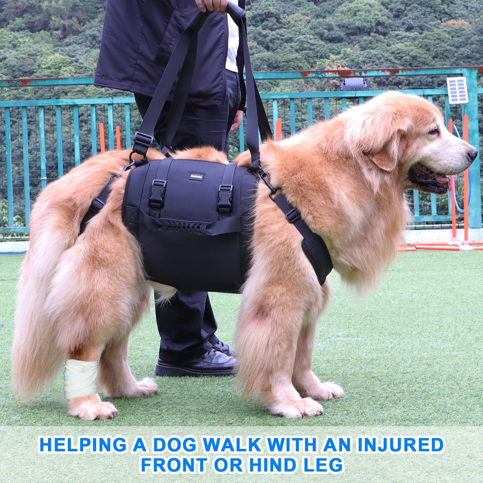 Rehabilitations-Brustgeschirr für Hunde