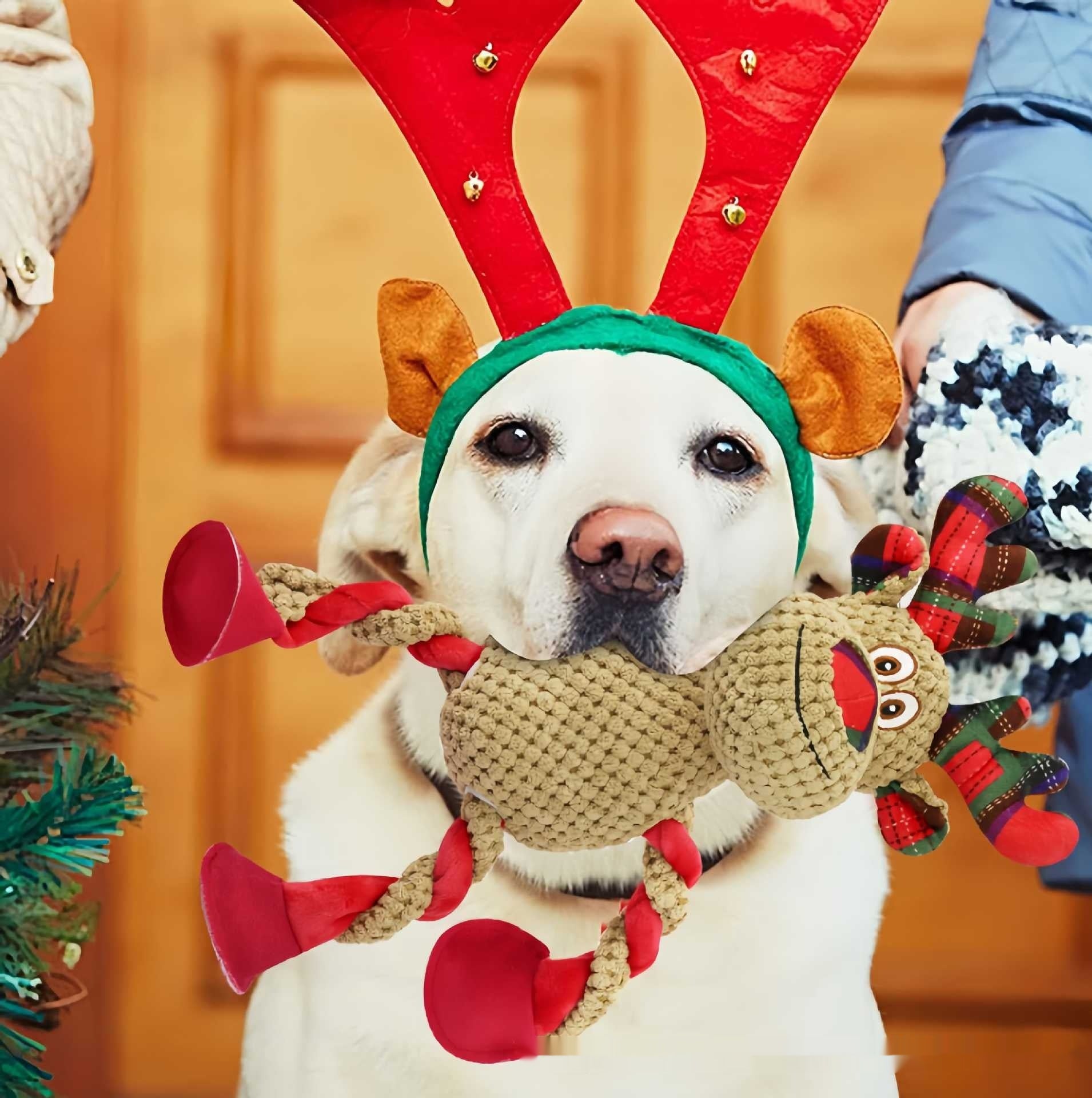 Weihnachtsspielzeug für Zahnpflege
