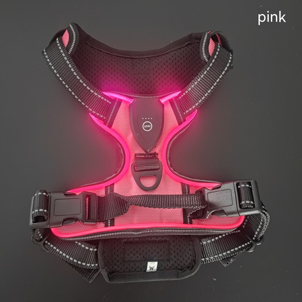 LED-Leuchtweste für Hunde und Katzen – Bild 15 | LuxeStyle