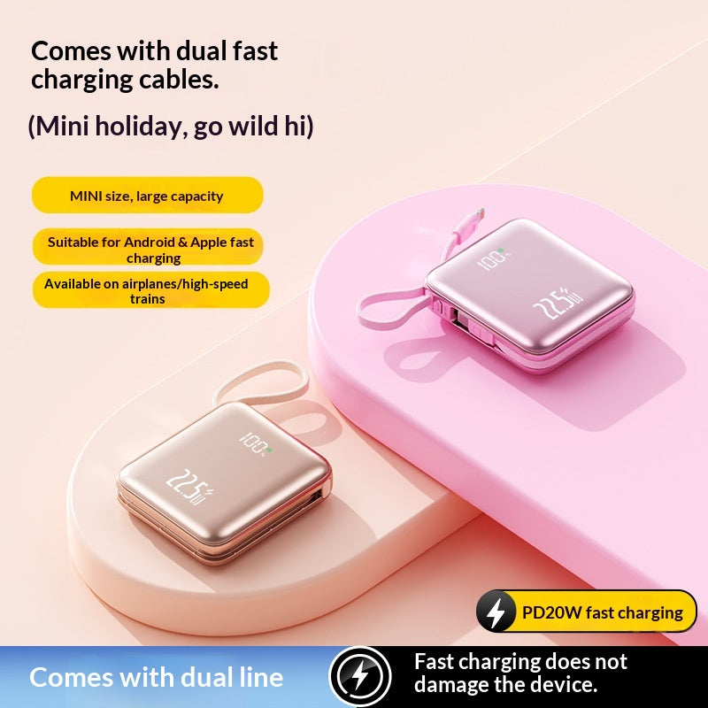 Powerbank mit 10000mAh und Dual-Kabel